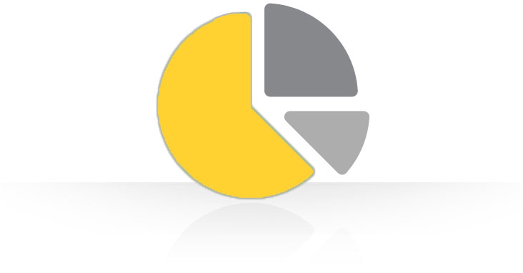 Custom software development